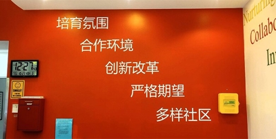 Interior Wall Graphics Photo